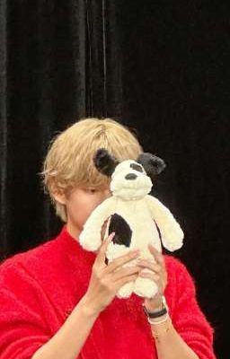 CHÓ CẮN CÓ LÀM EM ĐAU [ TAEKOOK]