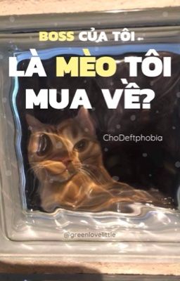 ChoDeft | Boss của tôi, là mèo tôi mua về?