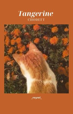 ChoDeft | Tangerine (ABO)