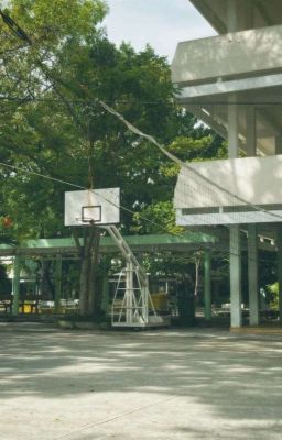 [ Chodeft ] Thanh xuân có một người 