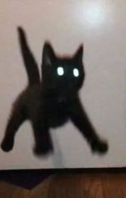 [ChoDeft] | Trà và cà phê