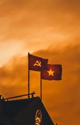 |Choker: Ngày hoà bình. 