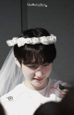 Chonut - Pernut / Bỏ lỡ