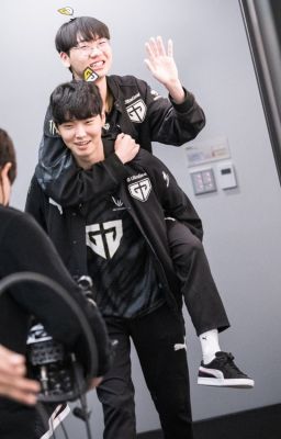 [ Choran ] Evergreen