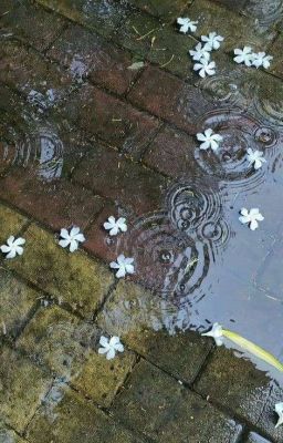 [choran/onran] tình yêu màu hồng? 