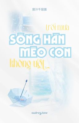 choran | trans | Sông Hàn trời mưa nhưng Mèo con không ướt