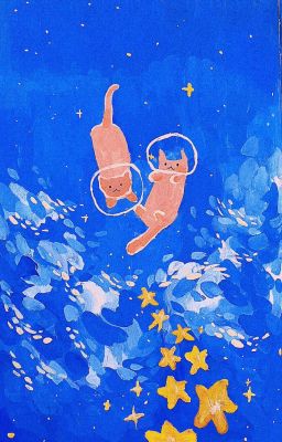 [Chovy x reader] chít chít meo meo