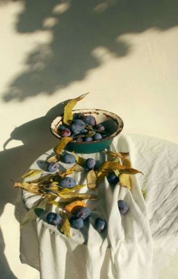 Chovy x Viper - Summer 1998