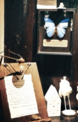 chuchuwooz | Tâm điểm