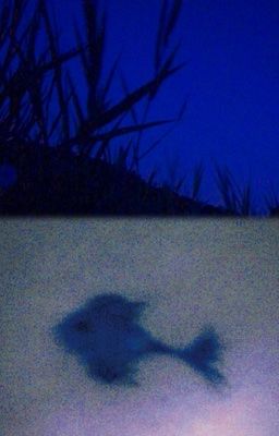 chuchuz | Nếu em cũng hóa thành một chú cá