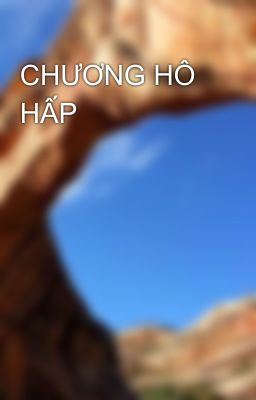 CHƯƠNG HÔ HẤP