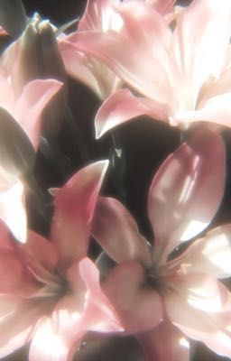 chuyện chúng ta |bts-linhoon