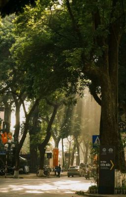 Chuyện Tình Anh Và Nàng