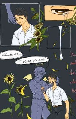 CHUYỆN VỀ KENSHIRO VÀ DƯƠNG