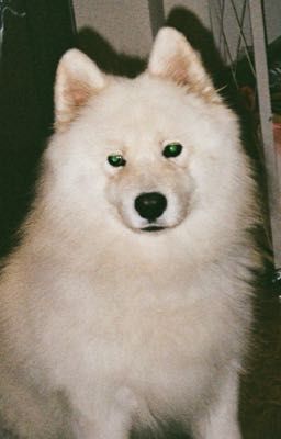 clearable ⊹ ࣪ ˖ toxic