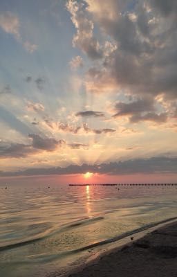 CMED • Ký Ức Của Em