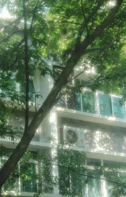 Cô Ấy Là Ánh Dương Đời Tôi