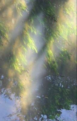 Có mình và ta || onran