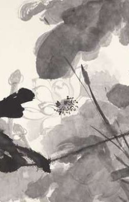 Color. [ Sharplow / Lowsharp ]