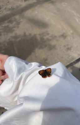 công thịnh | congb X jaysonlei | tương tri [atsh2]