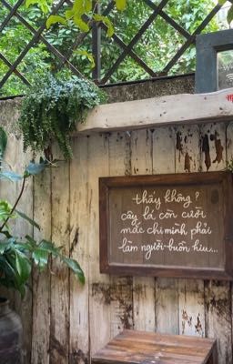 「 cortis 」❝đại học đừng học đại❞