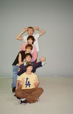 cortis x reader; nhiễu sự