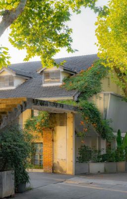 [Cortis x reader] Off Script // No Control⊹