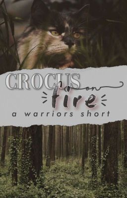 Crocus on Fire | A Warrior's Short