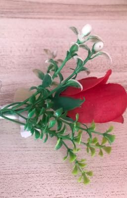Cùng Đỉnh Lưu Làm Việc Ở Chương Trình Tống Nghệ Bạo Hồng