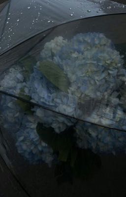 cuộc tình sa ngã (gl x gl)