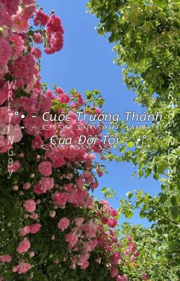 Cuộc Trưởng Thành Của Đời Tôi - My Stories 1