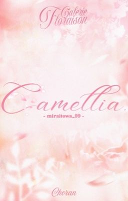 [ 🀢 D1GF | 09:06 ] Camellia.