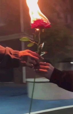 [Đam] mối tình trọn vẹn