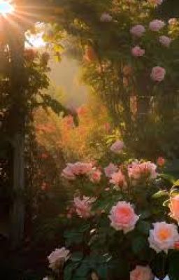 [ Đam mỹ ] Ngông ?