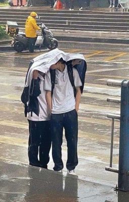 [Đam Mỹ/Ngược] Truyện: 3000 Hạc Giấy