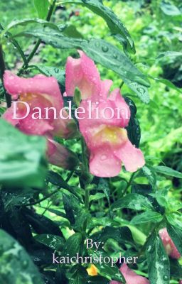 Dandelion