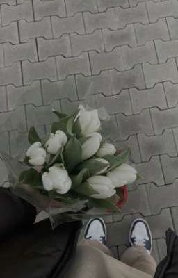 DATINGS , BLOSSOMING , KISSING