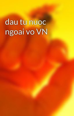 dau tu nuoc ngoai vo VN