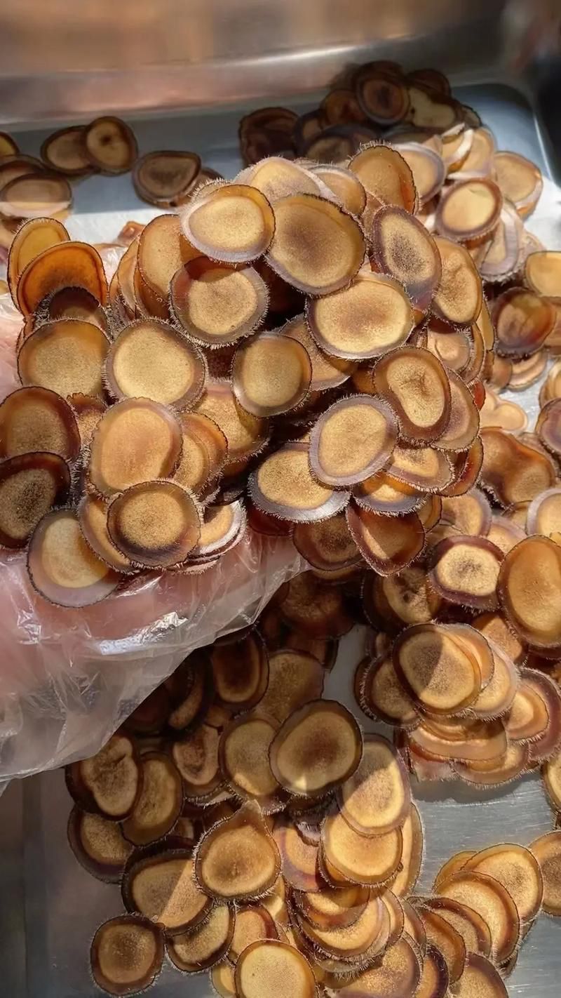 68747470733a2f2f73332e616d617a6f6e617773