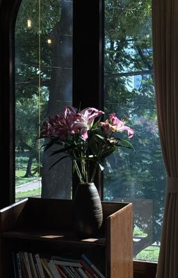 ddingdongz | ánh nắng sau cuối hành lang.