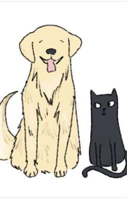 |ddz| mèo hâm cún hấp