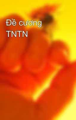 Đề cương TNTN