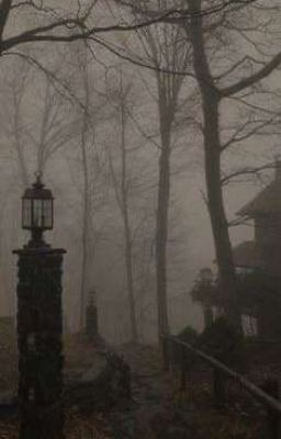 Default Title - Write Your Own