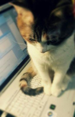 Đến xem người yêu cũ thi đấu, liệu có bình thường? - Ruhends & Fakenut