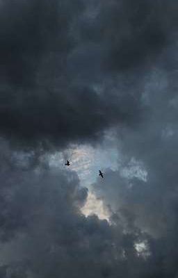 Điều đặc biệt của ngày mưa 