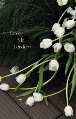 điều ta luôn giữ kín trong tim. StnXe