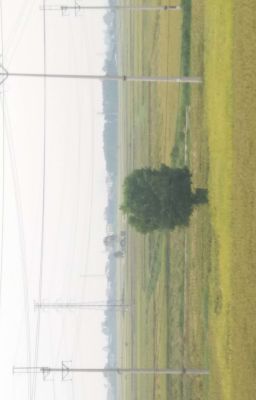 Đỉnh phong Hoá Thần ở thế giới mới