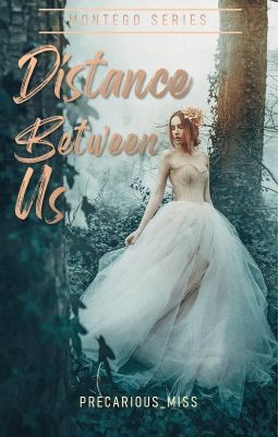 Distance Between Us (Montego Series #2)