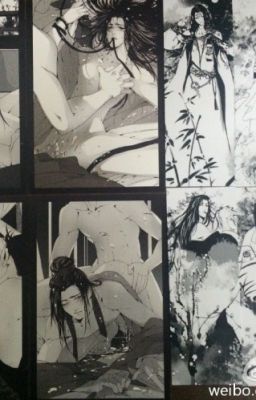 (ĐM Cao H) Lưu Anh Hùng đích bột khởi chi lộ