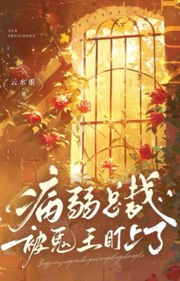 [ĐM/EDIT] Tổng tài ốm yếu bị Quỷ Vương theo dõi